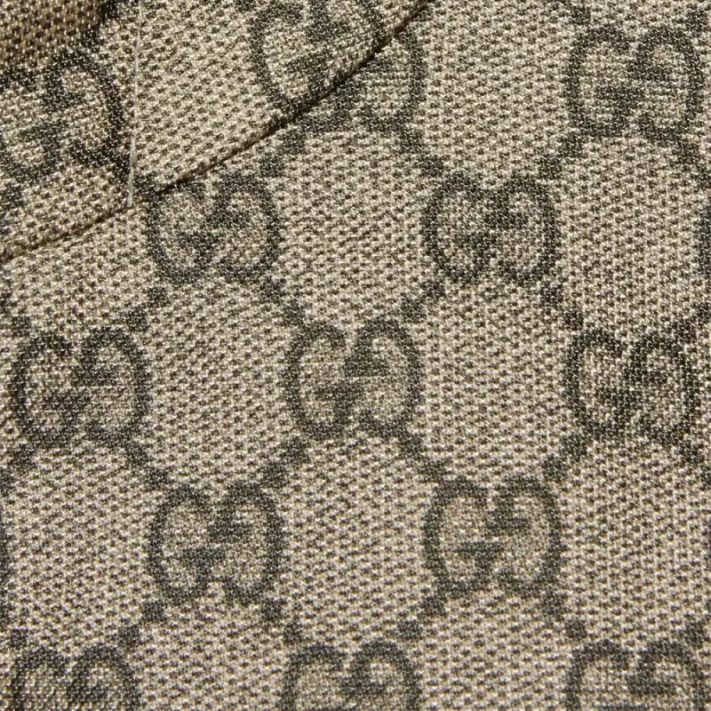GUCCI Centrum Hooded Jacket-2