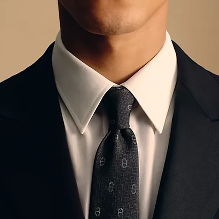 HERMES Mulberry Silk Ties Men's Black-1