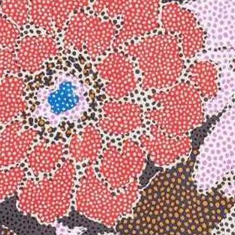 Bimba Y Lola Floral print Scarf-2