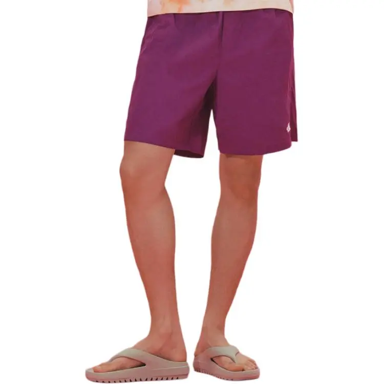 THE NORTH FACE Casual Shorts Men's Purple-2