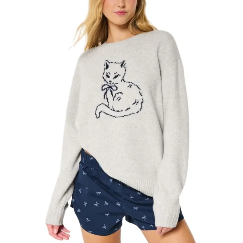 Hollister Sweater Women's Brown-1