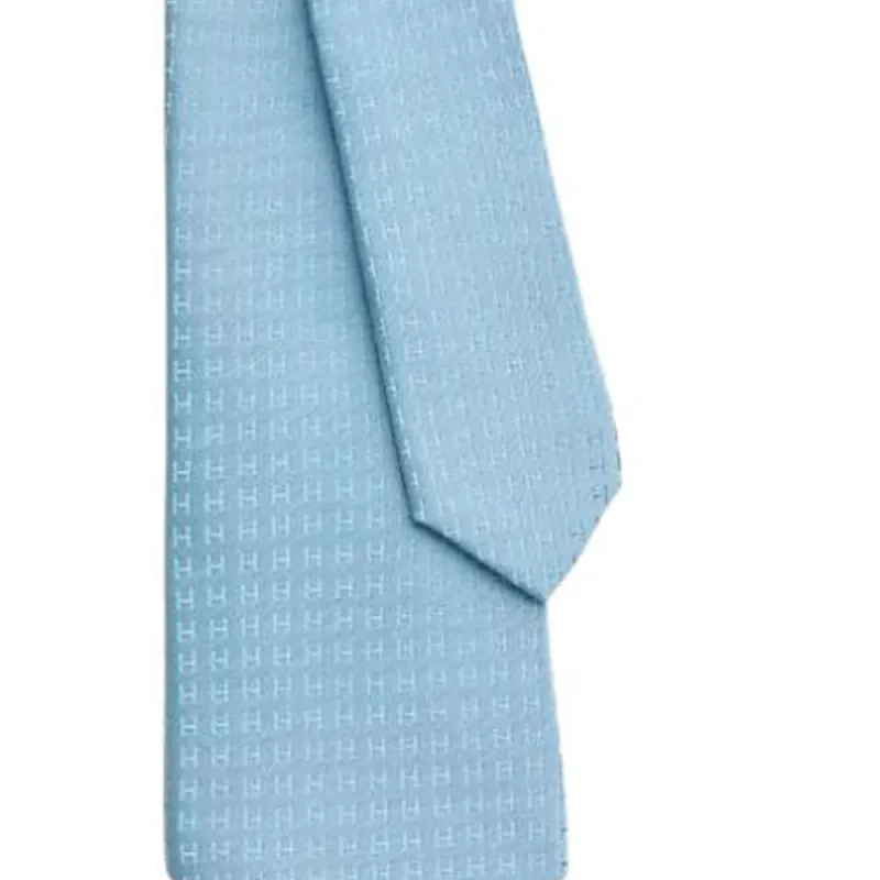HERMES Silk Ties Men's Light Blue-1