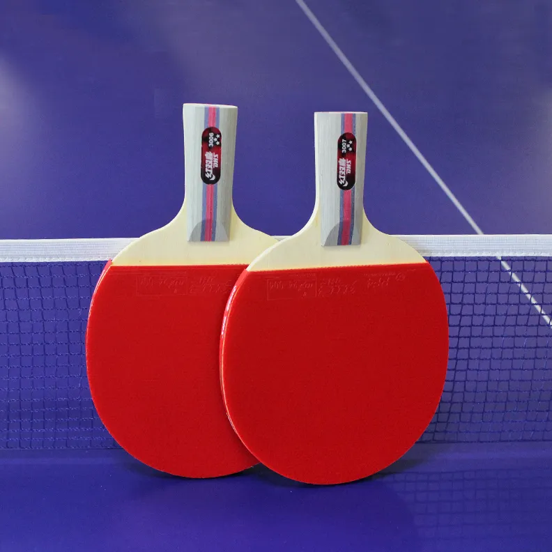 DHS Ping Pong Paddles-2