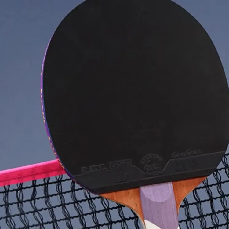 730 Ping Pong Paddles-3