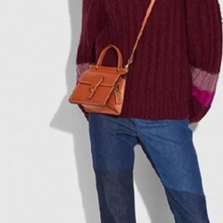 COACH Willis Leather Shoulder Bag Crossbody Bag Handbag Small Size Women's Brick Red-4