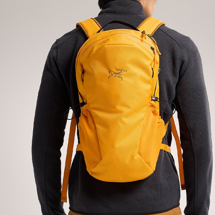 超希少限定色！ARC'TERYXバッグ11625-6-SS002923-1/3