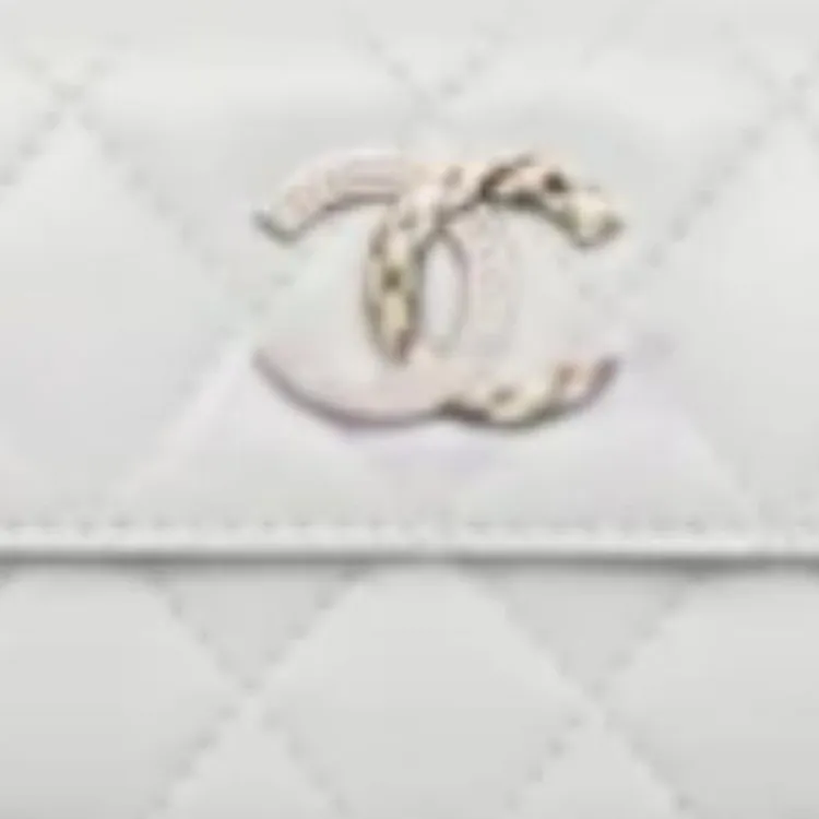 CHANEL Lambskin Wallet Women's Light Gray-1