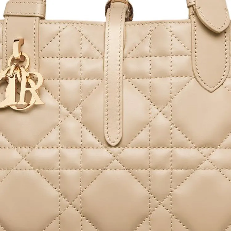 DIOR Toujours Cow Leather Native Handbag Trumpets Women's Rouge Beige-5