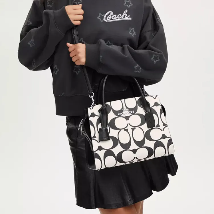 COACH Canvas With Leather Tote Bag, Shopping Bag, Shoulder Bag, Handbag Large Size Women's Silver & Chalk Multicolor-3