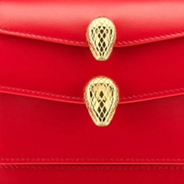 Alexander Wang X BVLGARI Handbags-2