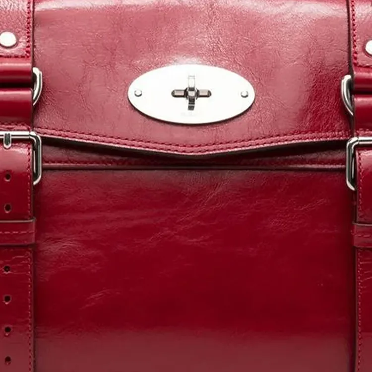 Mulberry Alexa Calfskin Shoulder Bag Crossbody Bag Handbag Regular Women's Deep Red-2