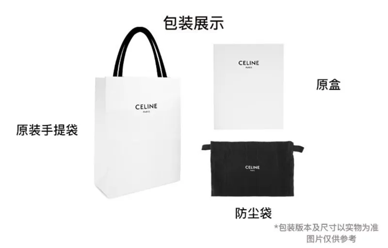 CELINE Triomphe Handbags-5