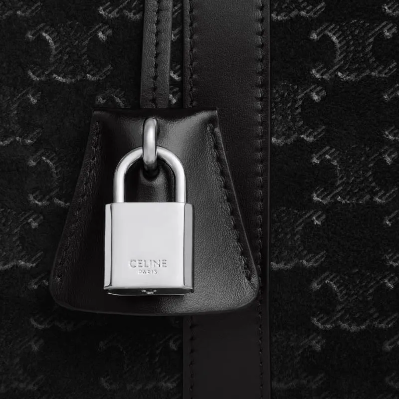 CELINE Triomphe Suede Calfskin Travel Bag Men's Black-3
