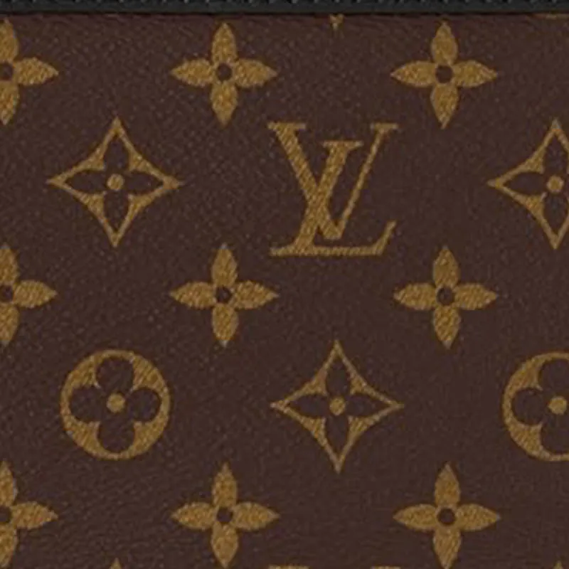 LOUIS VUITTON Gaston Wearable Wallet-4