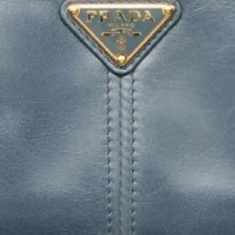 PRADA Calfskin Wallet Trumpets Women's Haze Blue-4