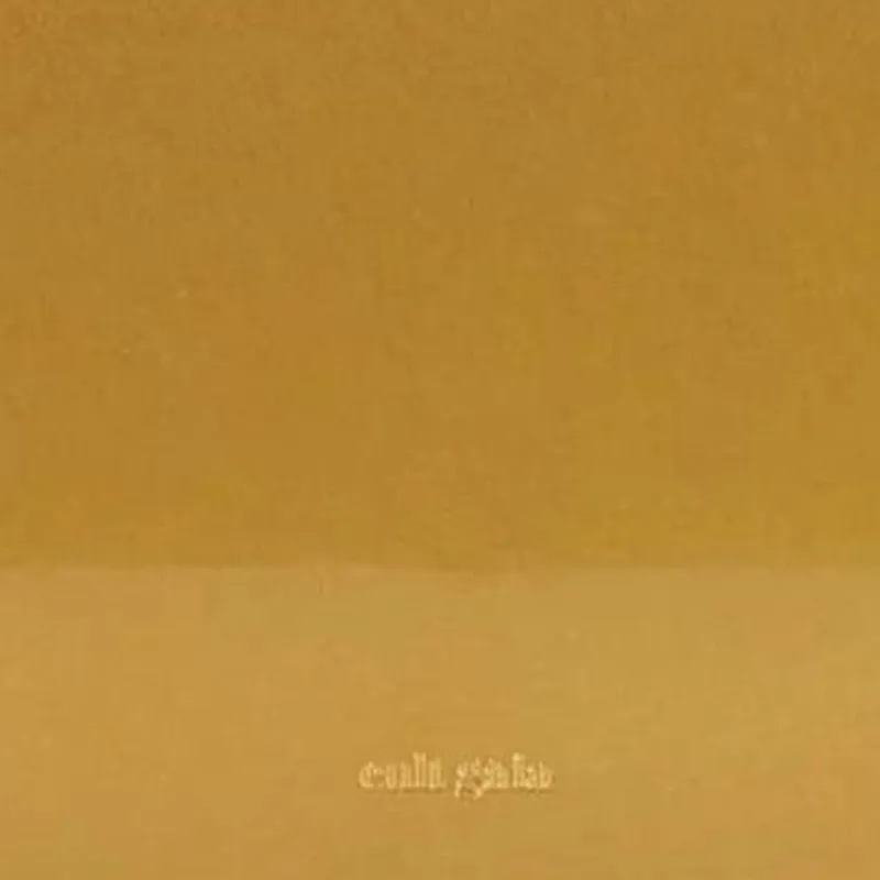 CULT GAIA Aluminum Alloy Clutch Women's Gold-4