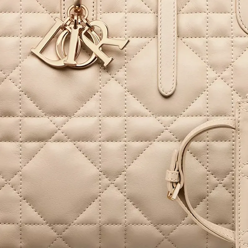 DIOR Toujours Cow Leather Native Bag, One Shoulder Handbag Medium Size Women's Pink Beige-6