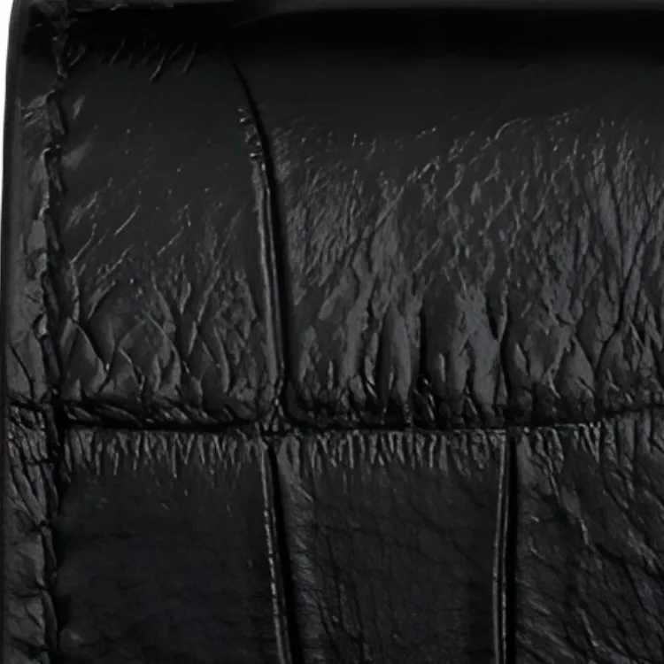 CELINE Crocodile Embossed Calfskin Key Pouch Men's Black-4