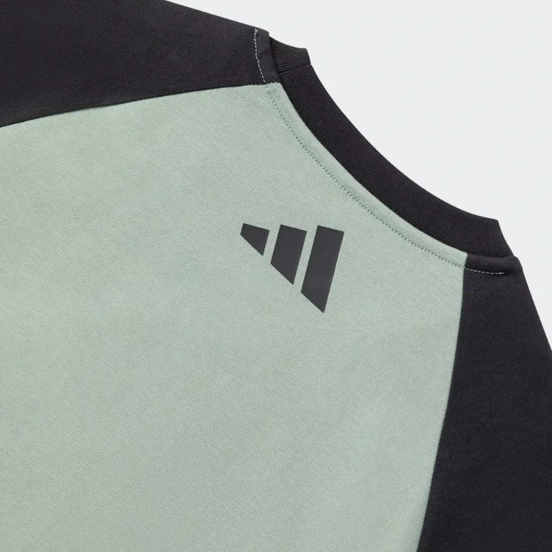 Adidas FW24 T Shirt Unisex Dusty Green/Black-3
