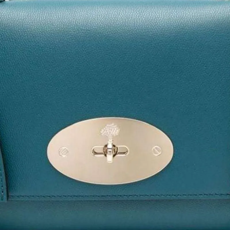 Mulberry Small Lily Leather Shoulder Bag-4