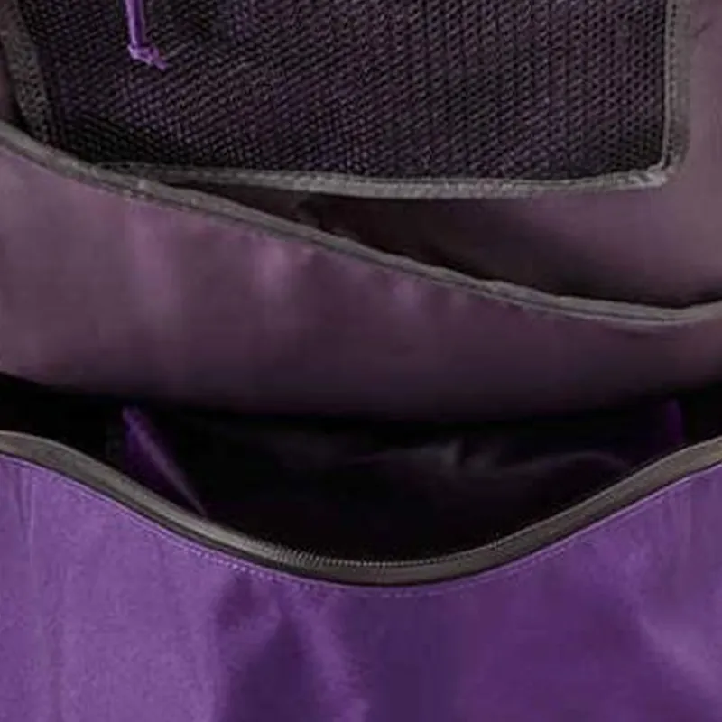 Patagonia Recycled Polyester Backpack Unisex Purple-3