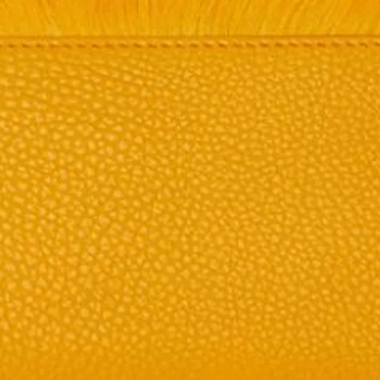 Burberry Grained Calfskin Wallet Regular Women's Touch Me Not Yellow-3