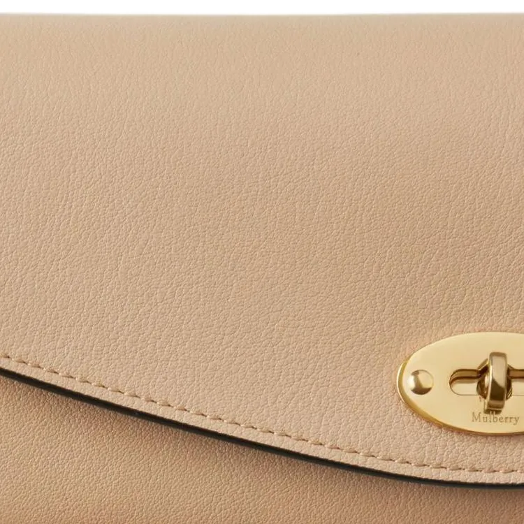 Mulberry Darley Calfskin Wallet Regular Women's Maple Leaf Brown-4