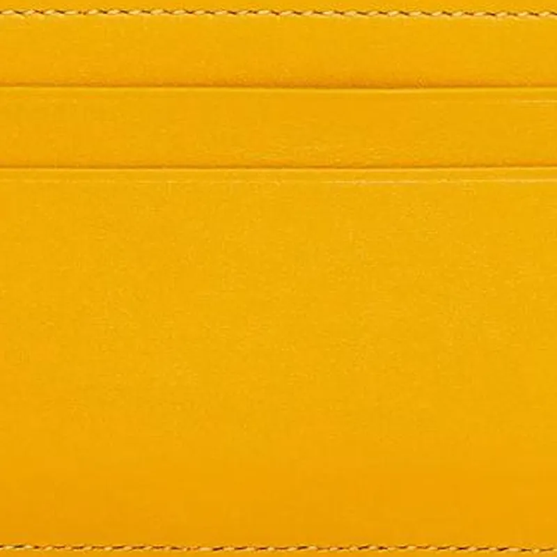 LOEWE Nappa Cow Leather Card Holder Women's Sunflower Yellow-4