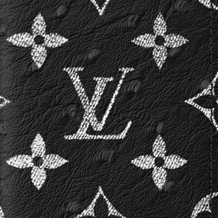 LOUIS VUITTON Leather Card Holder Men's Black-4