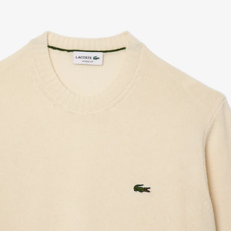 LACOSTE Wool Crew neck Sweater-3