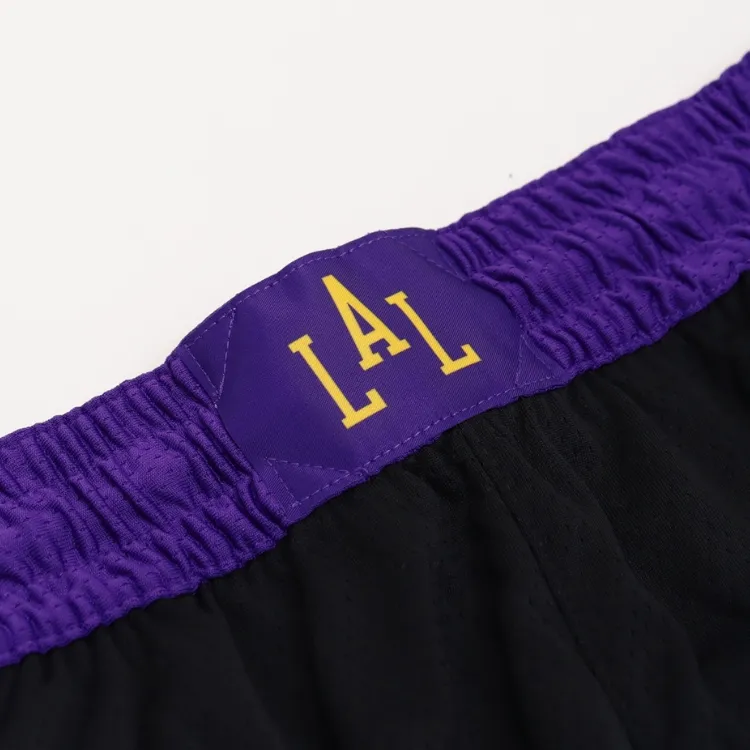 Nike Los Angeles Lakers City Edition 2023/24 Men's Nike Dri FIT Nba Swingman Shorts-3