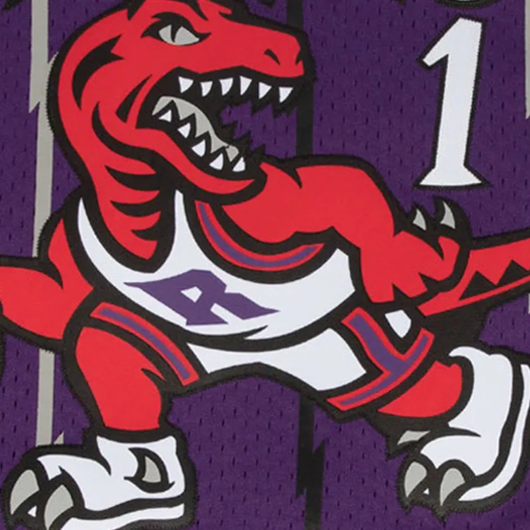 Mitchell & Ness Toronto Raptors Road 1998 99 Tracy Mcgrady Swingman Jersey-5