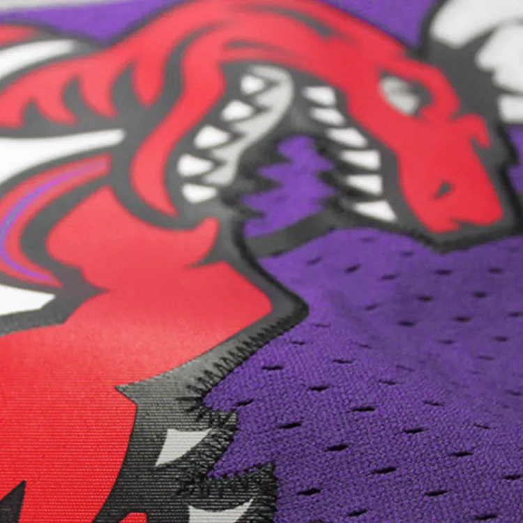 Mitchell & Ness Toronto Raptors Road 1998 99 Tracy Mcgrady Swingman Jersey-6