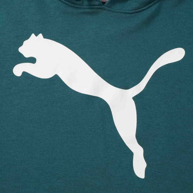 PUMA Sweatshirt Men's Cold Light Green-2