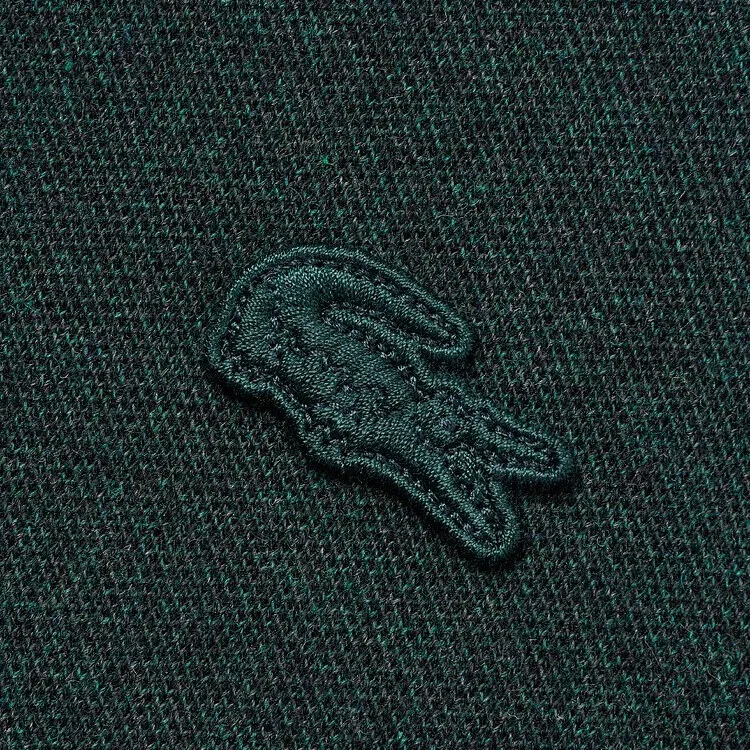 LACOSTE Polo Shirt Men's Pine Needle Green-2