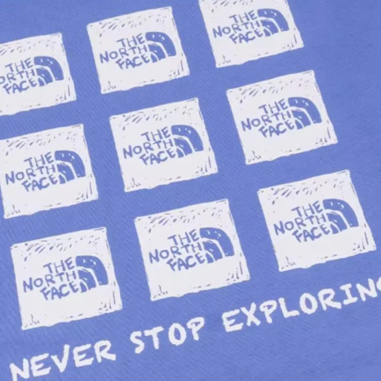 THE NORTH FACE City Outdoor Collection T Shirt Unisex Blue Purple-4