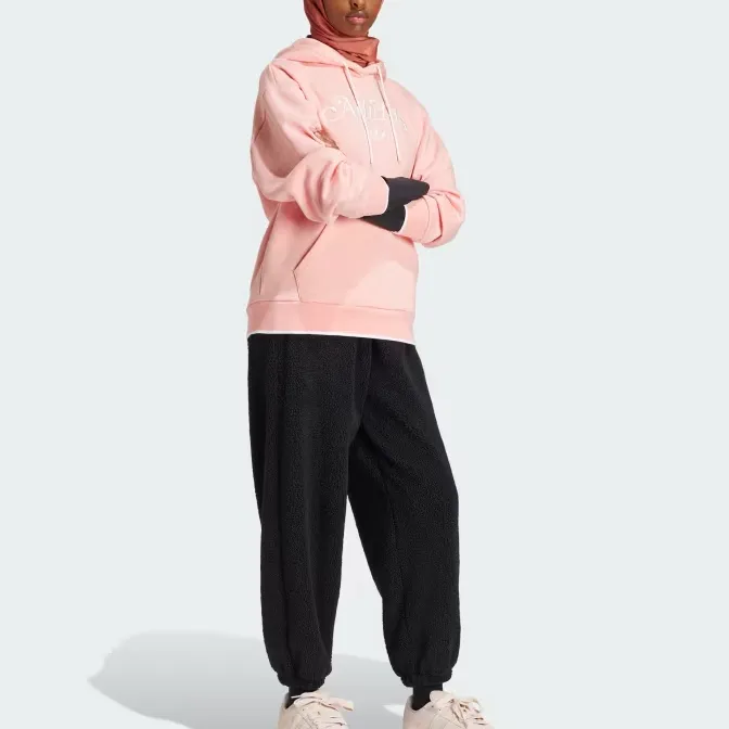 Adidas Graphic Loose Hoodie-1