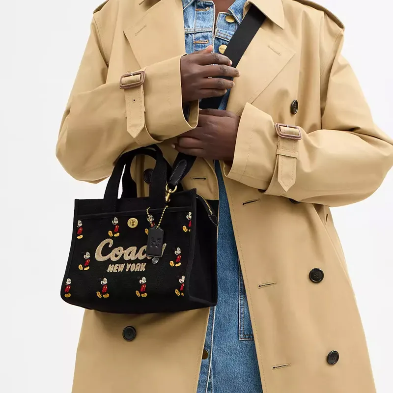 Disney X COACH Handbags-5