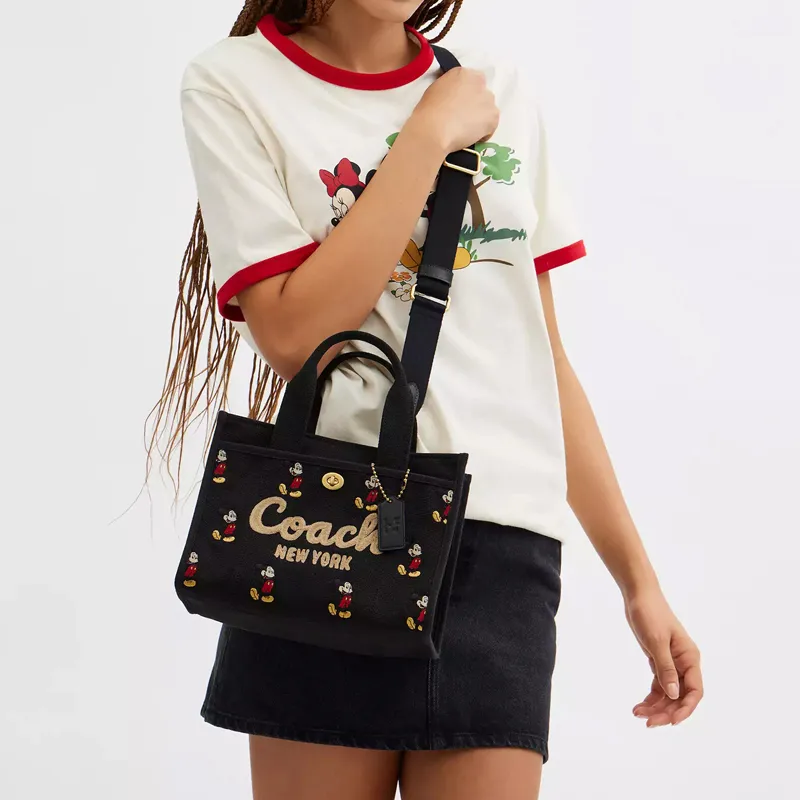 Disney X COACH Handbags-4