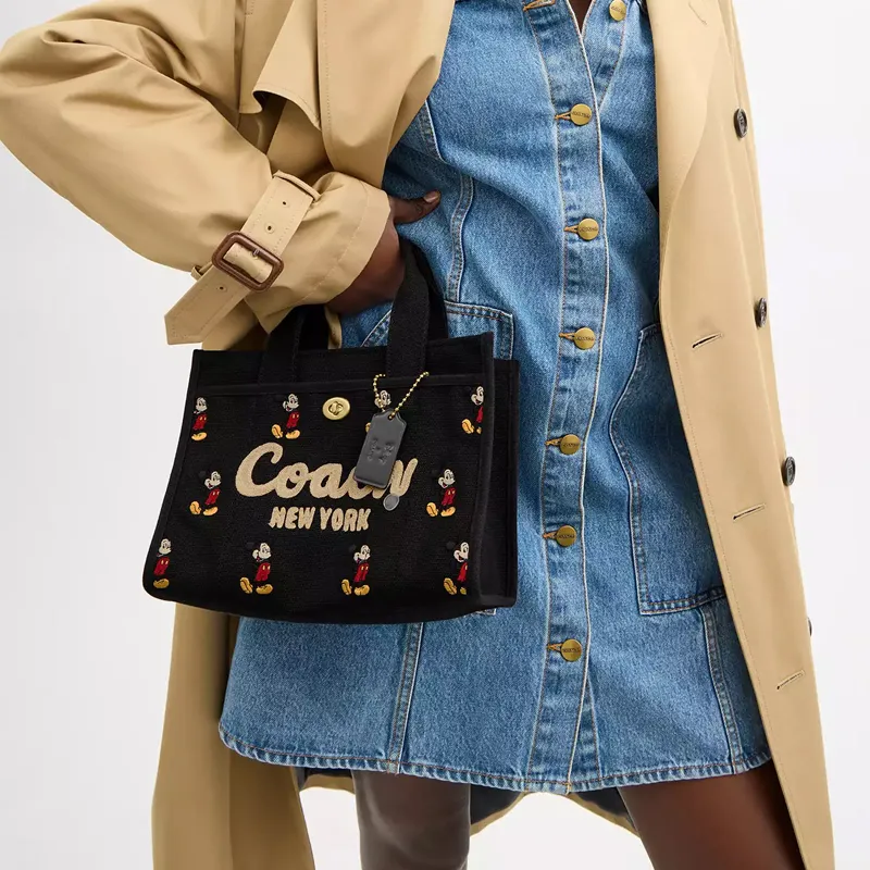 Disney X COACH Handbags-6
