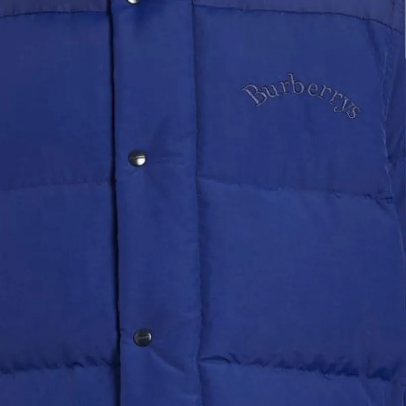 Burberry Down Jackets Men Blue-4