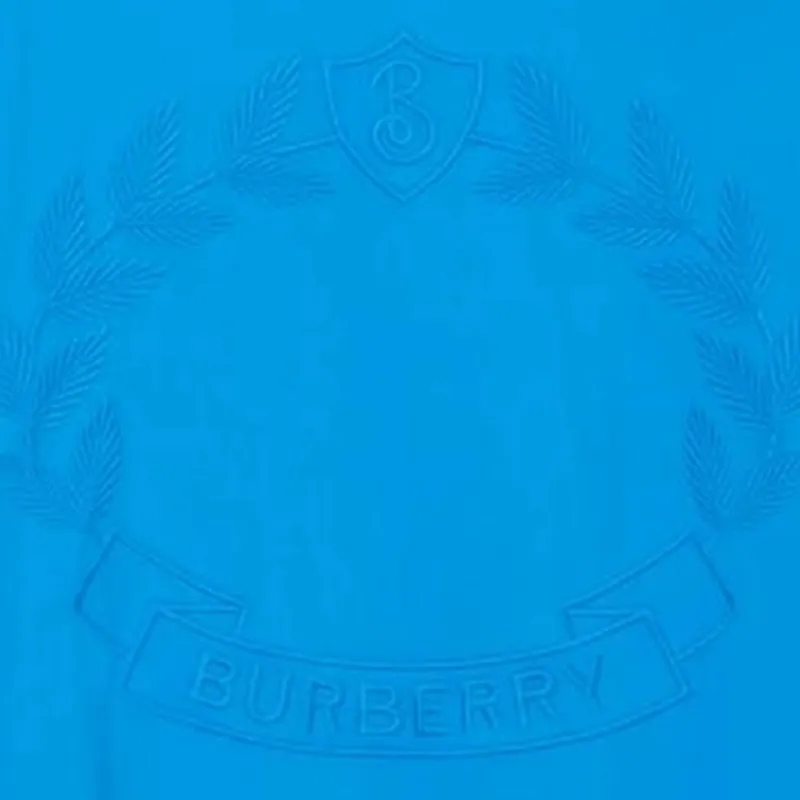 Burberry T Shirts Women's Blue-4