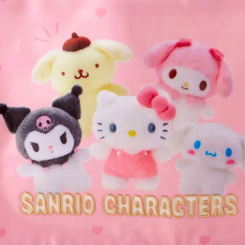 Sanrio Cotton Canvas Bag, Tote Bag, Shopping Bag, Handbag Mini Women's Pink-4