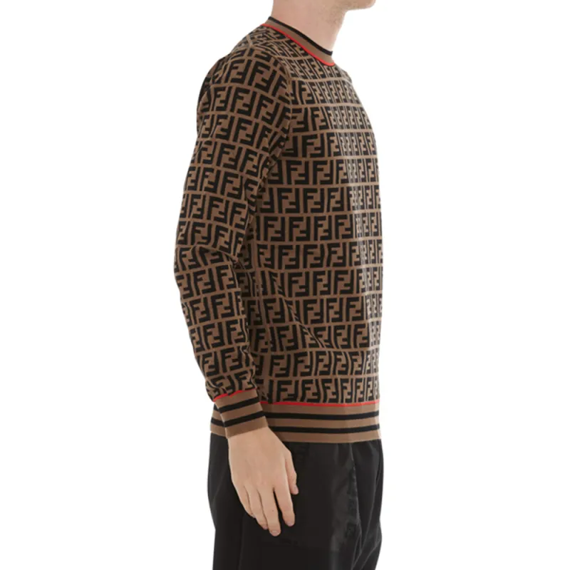 FENDI Sweaters Men Brown-5