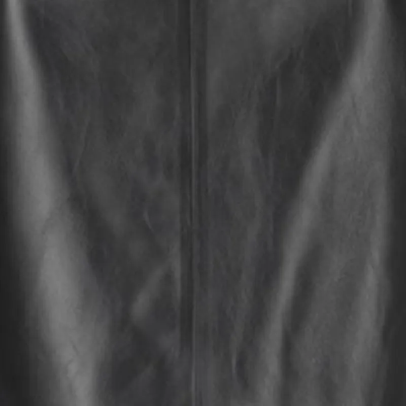 CELINE SS25 Spring Summer Women's Collection Leather Long Skirts Women's Black-4