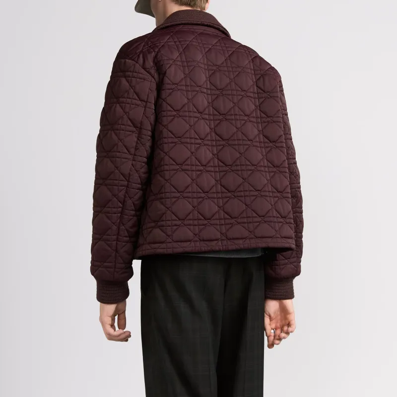 DIOR SS25 Jackets Coats Men's Burgundy-3