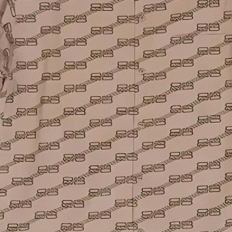 Balenciaga Shirt, Regular Fit Women's Brown-5