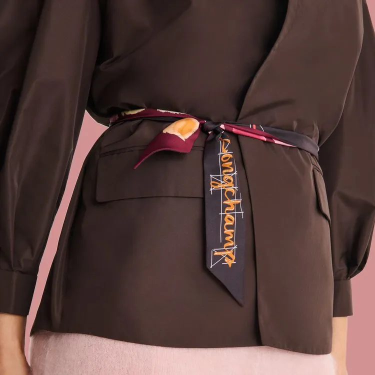 LONGCHAMP La Palette LONGCHAMP Printed Silk Scarf-1