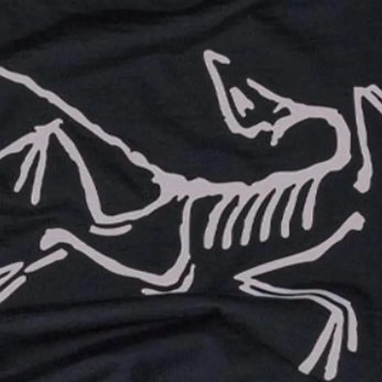 Arcteryx   Scarves Unisex Black-2