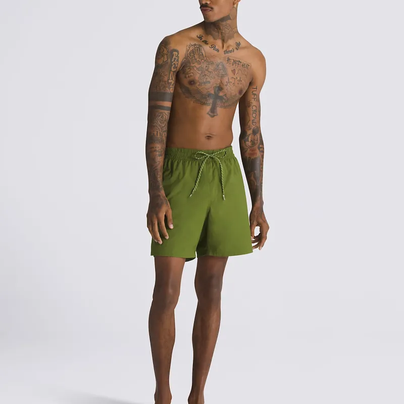 Vans Primary Solid Elastic 17'' Boardshorts Casual Shorts Men's Cyan-1